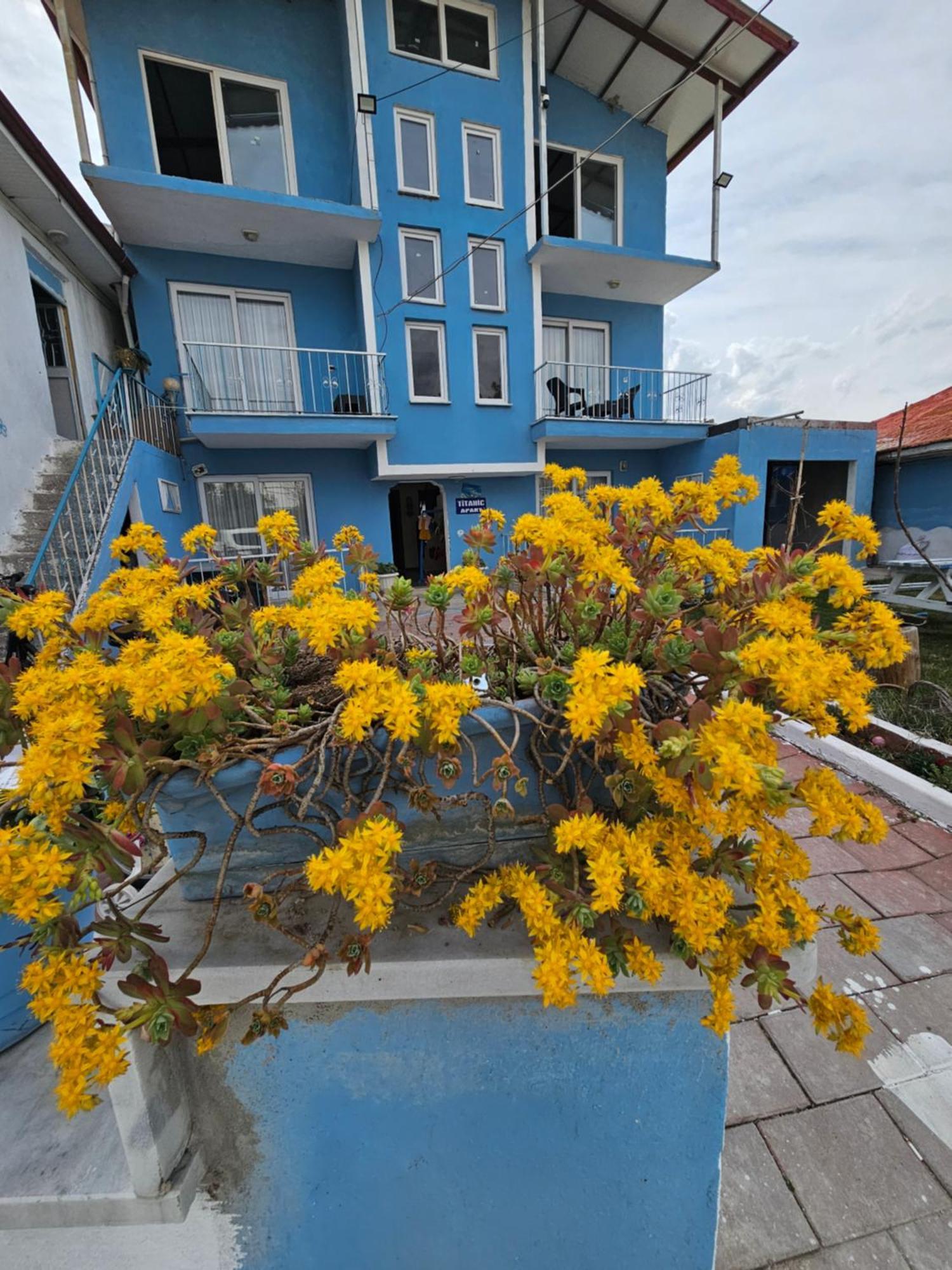The Titanic House Hotel 帕莫卡莱 外观 照片